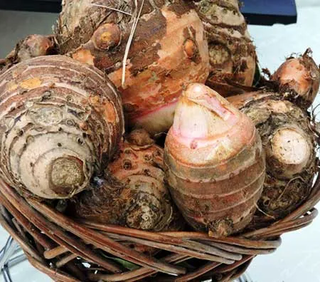 Pahari Gaderi Ki Sabji Recipe
