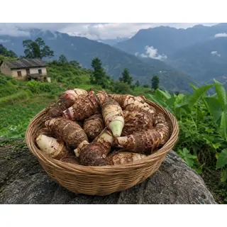 Pahadi Pinalu Arbi (500gm) ORGANIC Online