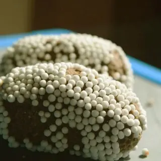 Pahadi Bal Mithai (500gm) From Uttarakhand Online