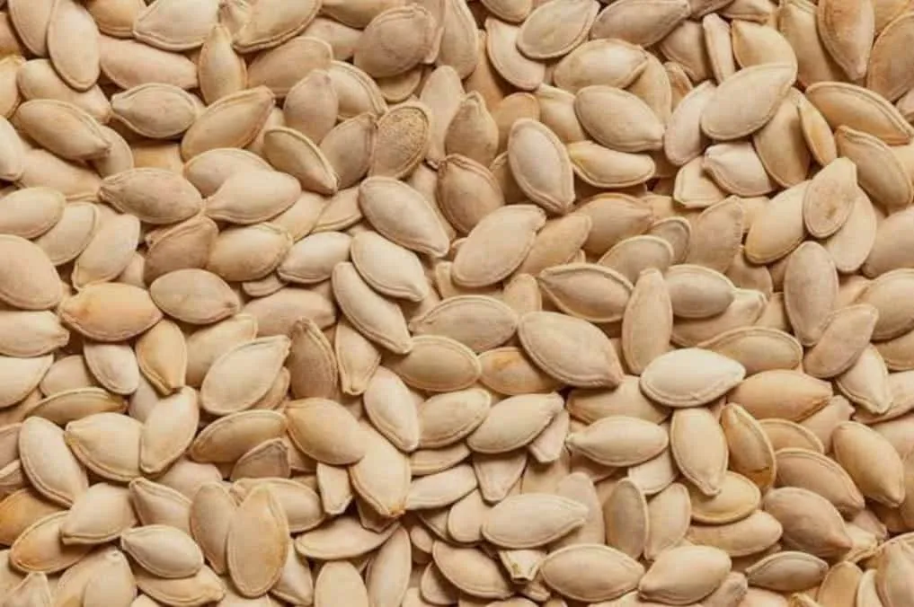 Pahadi kaddu ke seeds (BUY10gm) ORGANIC Online