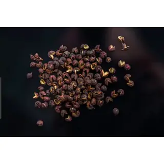 Pahari Sichuan Pepper Timur Seeds (100gm) Online
