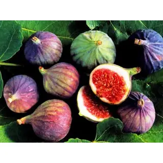 Pahadi Bedu Fruit, Timla (BUY 200gm) ORGANIC | उत्तराखंड से डिलीवरी | Pahad Ki Dukaan Online