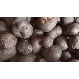 Pahadi Geethi, Air Potato (500gm) ORGANIC Online