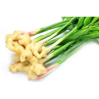 Pahari Adrak, Ginger (500gm) ORGANIC Online