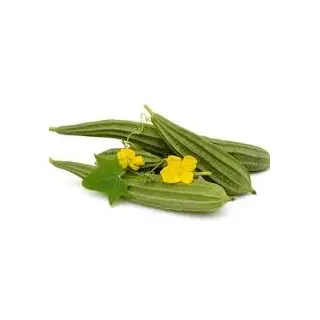 pahari turai seeds online