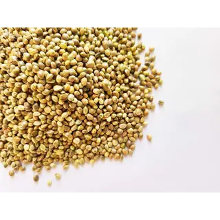 pahadi hemp seeds from uttarakhand