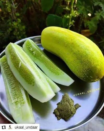 Pahari Kakdi Kheera (Buy 500gm) Online