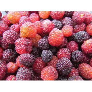 Pahadi kafal fruit (500gm) ORGANIC Online
