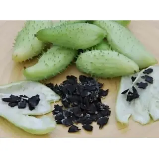 Pahadi mithe karele ke seeds