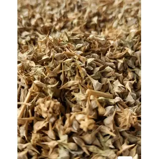 pahari palak seeds