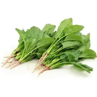 pahadi palak