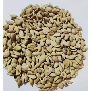 pahari nimbu chukh ke beej