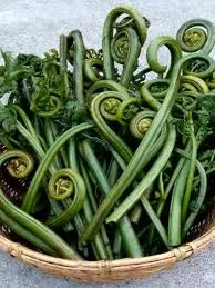 Pahari Linguda, Lingada buy (500gm) ORGENIC Online