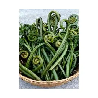 Pahari Linguda, Lingada buy (500gm) ORGENIC Online