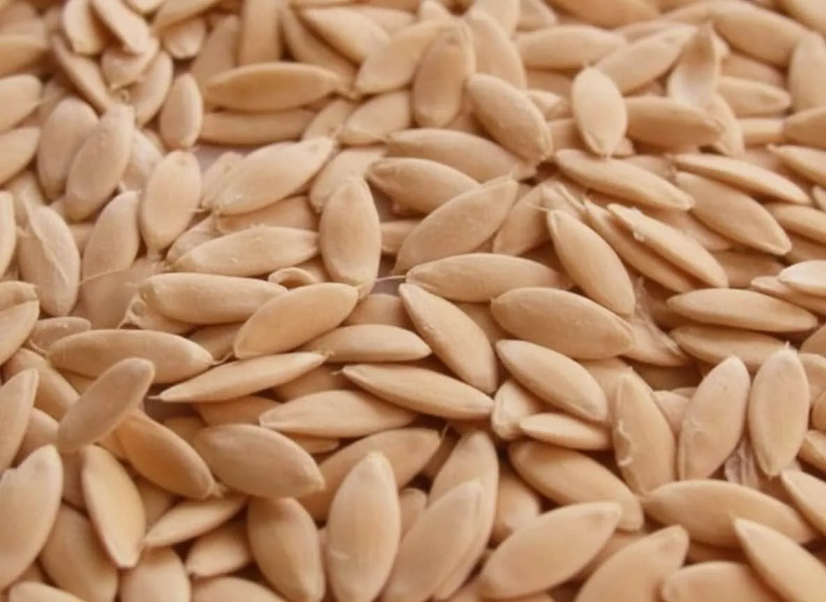 Pahadi Kakdi Ke Seeds Buy ORGANIC Online