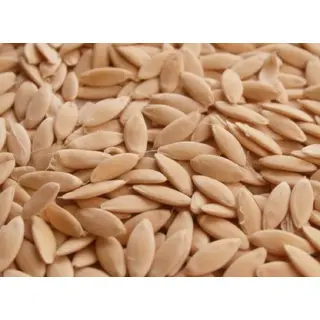 pahadi kakdi seeds