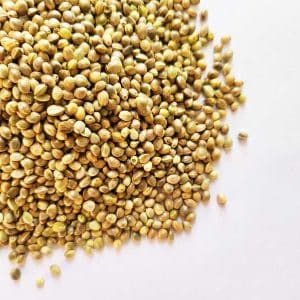 pahadi hemp seeds from uttarakhand