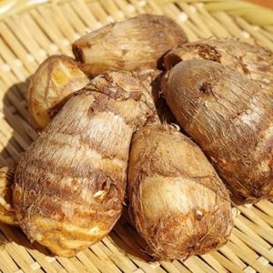 pahadi pinalu arbi