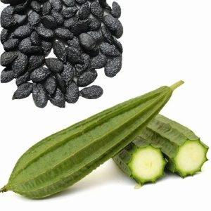 pahari torai ridge gourd seeds